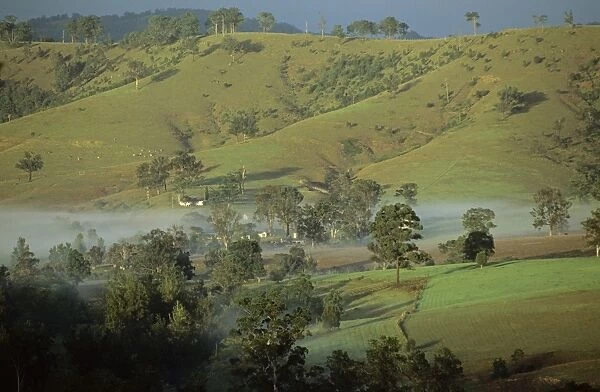 Rural scene Hunter Valley, New South Wales, Australia JPF52675