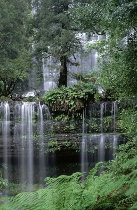 Framed Print : Russell Falls - Mount Field National Park, Tasmania, Australia Framed Print : Russell Falls - Mount Field National Park, Tasmania, Australia