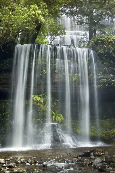 Russell Falls - stunning waterfall amidst lush temperate rainforest - Mount Field National Park, Tasmania, Australia