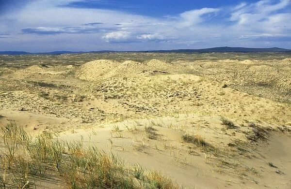 Russia - dunes of Tsuger-Als Sands: ancient alluvial sands along river Tes-Hem valley June; near Erzin settlement, South Tuva Tu32. 3034