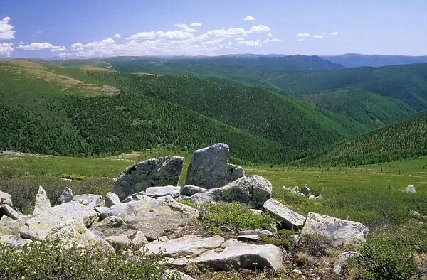 Russia - rocks and tundra on a mountain plateau, taiga-forest is on lower slopes, a typical view in Sengilen mountain range; June; South Tuva Tu32. 3067