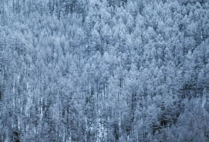 Framed Print : Russia Schusensky Wild Reserve, Abakah, Siberia