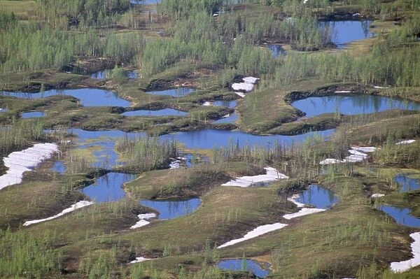 Russia Semi-tundra Taiga near Norilsk town, Russian Arctic