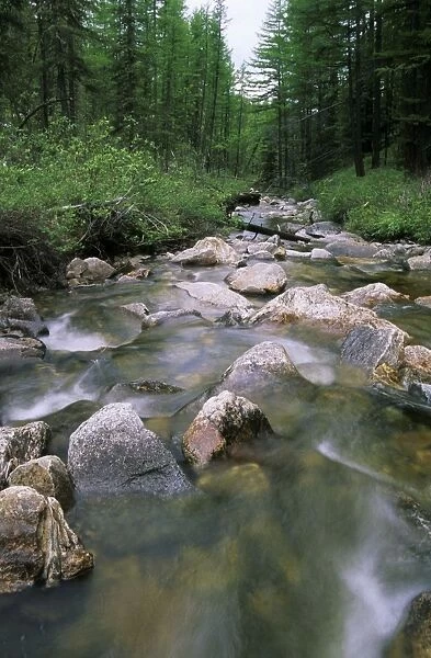 Russia - a typical small river in taiga-forest of Sengilen mountain range; June; South Tuva Tu32. 3134