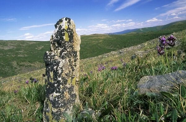 Russia - view with lichen covered stone (naturally erected) in Sengilen mountain range June; South Tuva, Russia Tu32. 3057