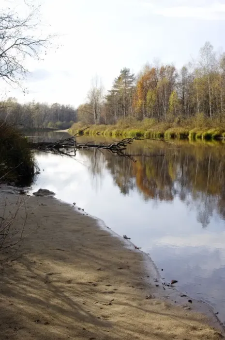 Framed Print : Russian Desman - habitat. River Pra, a tributary of river Oka - one of habitats of Russian Desman; territory of Okski Biospheric Nature Reserve; Central Russia, 50 km East from Ryazan town; autumn in October Ok39. 0001 Framed Print : Russian Desman - habitat. River Pra, a tributary of river Oka - one of habitats of Russian Desman; territory of Okski Biospheric Nature Reserve; Central Russia, 50 km East from Ryazan town; autumn in October Ok39. 0001