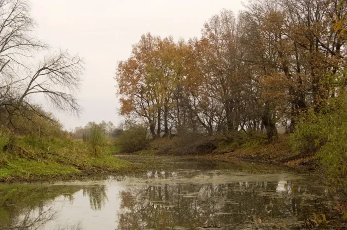 Framed Print : Russian Desman - typical habitat. An old river-bed of river Oka, typical in river Oka valley-plain locally called Meshera (flooded in spring) Framed Print : Russian Desman - typical habitat. An old river-bed of river Oka, typical in river Oka valley-plain locally called Meshera (flooded in spring)