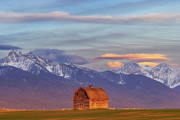 Rustic old barn in evening light with Mission Mountains in Pablo, Montana, USA Date: 13-05-2021