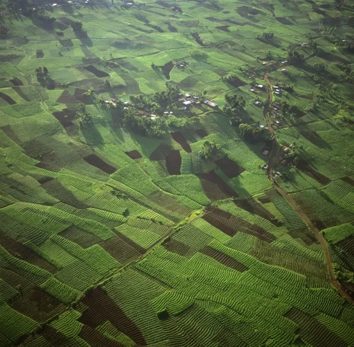 Framed Print : Rwanda - Aerial view of Africa, Intensive agriculture on Virunga foothills, 2003 Framed Print : Rwanda - Aerial view of Africa, Intensive agriculture on Virunga foothills, 2003