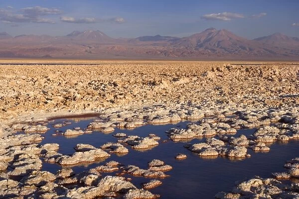 Salar de Atacama - second biggest salt lake in the world and small alkaline lagunas situated on the foothills of the Andes - near San Pedro de Atacama - Chile - South America