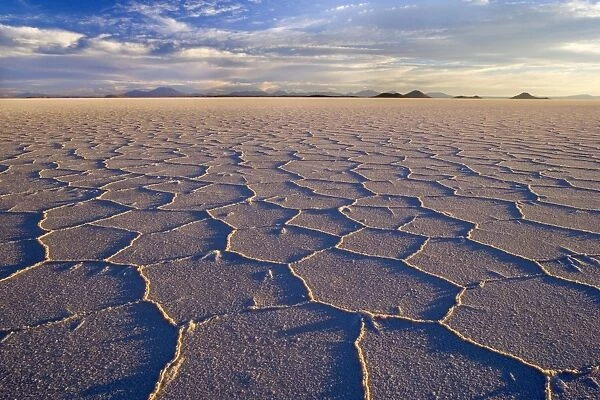 Salar de Uyuni - polygonal salt pattern on dried up salt lake at sunset - Salar de Uyuni - Altiplano - Bolivia - South America
