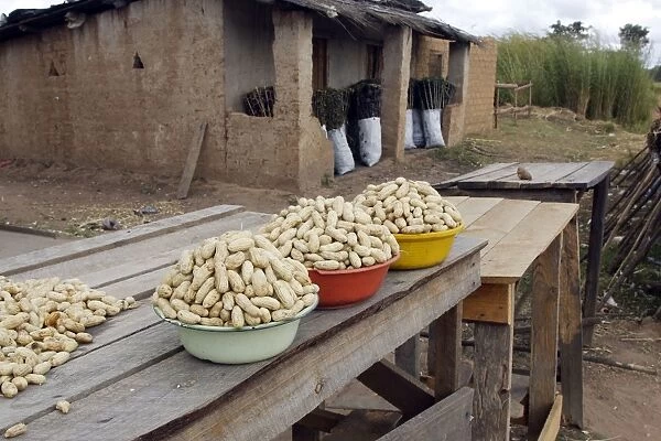 Sale of peanuts at roadside Zambia, Africa