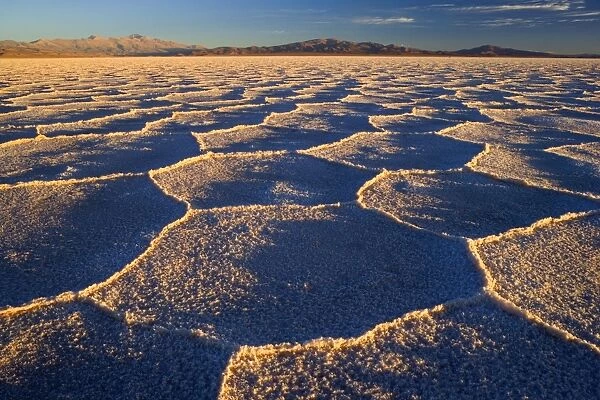 Salinas Grandes del Noroeste - mountains and dried-up salt lake showing a regular polygonal pattern created by salt crystals - at sunrise - the salinas are located on an altitude of 3450 m above sea level on the so-called Altiplano - Prov