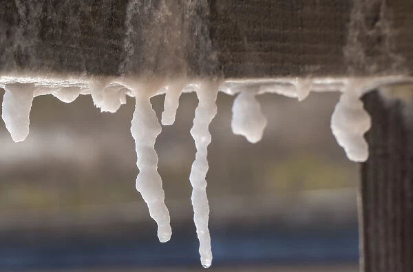 Salt stalactites formed under wooden decks where