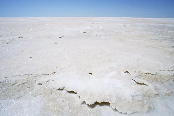 Salt surface of Lake Eyre North Lake Eyre National Park, South Australia JLR04320