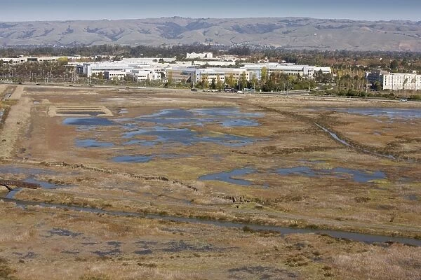 Saltmarsh, pools and lagoons at Don Edwards San Francisco Bay National Wildlife Refuge, California, United States