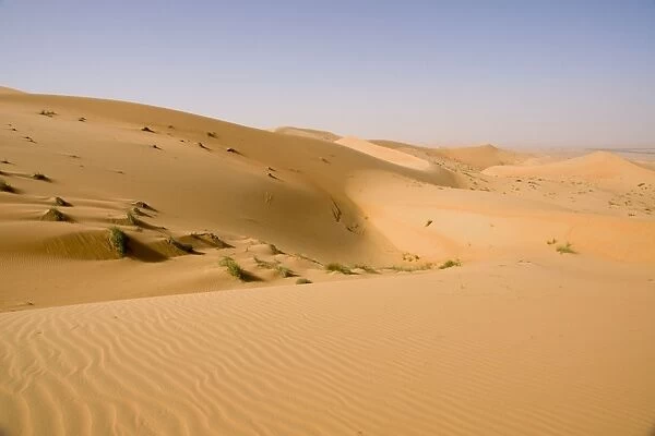 Sand dunes - Abu Dhabi - United Arab Emirates