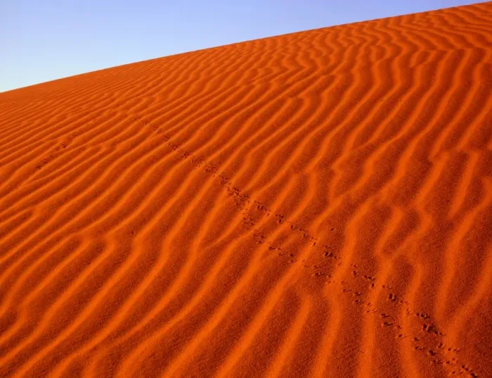 Framed Print : Sand dunes with animal tracks, Strzelecki Desert, South Australia JPF45512 Framed Print : Sand dunes with animal tracks, Strzelecki Desert, South Australia JPF45512