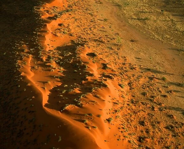 Sand dunes and corridor near Old Andado Station, Simpson Desert, Northern Territory, Australia JPF45048