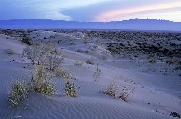 Sand dunes of Karakum desert - sunset - Kopetdag mountains on background - Turkmenistan - former CIS - Spring - April Tm31. 0243