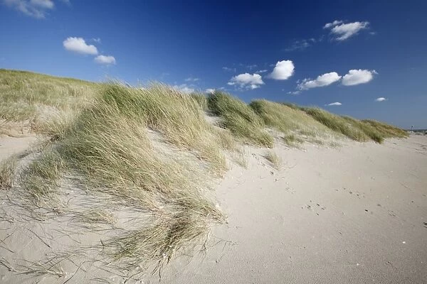 Sand Dunes and Marram Grass - on empty beach