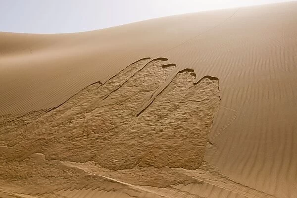 Sand dunes - showing movement on dune - Abu Dhabi - United Arab Emirates