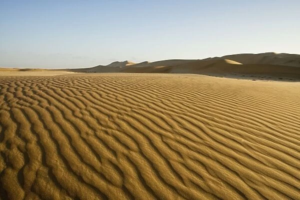 Sand ripples in late afternoon light - Dune Fields - Namib Desert - Namibia - Africa