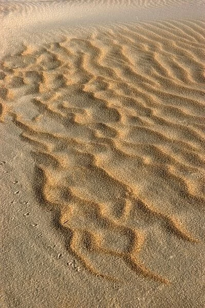 Sand waves above the tide line. High winds shift the lightweight sand to expose coarse, heavier sand. Punta Umbria. Spain