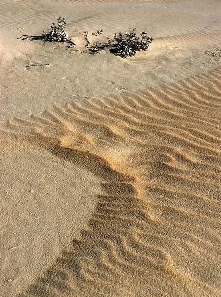 Sand waves above the tide line. High winds shift the lightweight sand to expose coarse heavier sand. Punta Umbria, Spain