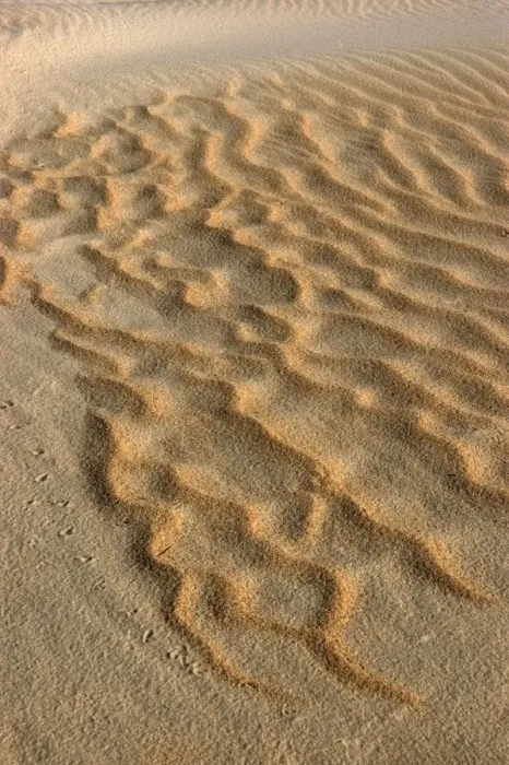 Framed Print : Sand waves above the tide line. High winds shift the lightweight sand to expose coarse, heavier sand. Punta Umbria. Spain Framed Print : Sand waves above the tide line. High winds shift the lightweight sand to expose coarse, heavier sand. Punta Umbria. Spain