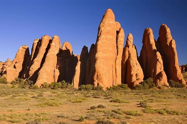 Sandstone Fins - a group of fin-shaped red sandstone formations - Arches National Park, Utah, USA