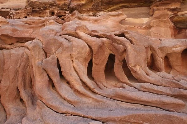 Sandstone Formation - Red Canyon - Sinai - Egypt