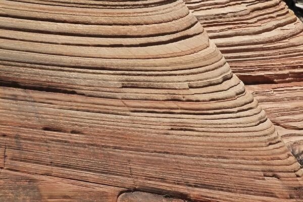 Sandstone Formations Showing Layers - Zion National Park -Utah - USA