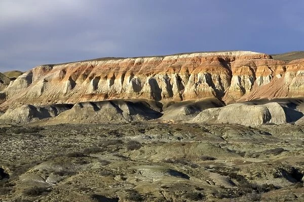 Sarmiento Petrified Forest Provincial Reserve Argentina - Province Chubut - Patagonia The 'Cerros Colorados'. Red beds are a continental formation, deposited above the Salamanquense Formation