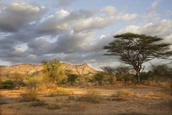 Savanna biome - National Park of Mago - South Ethiopia