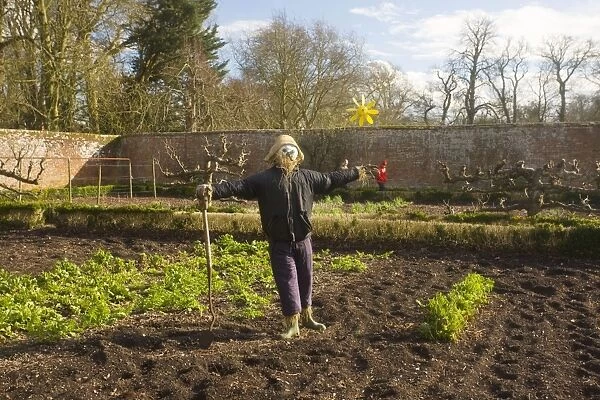 Scarecrow in organic walled garden at Dean's Court, Wimborne, Dorset UK
