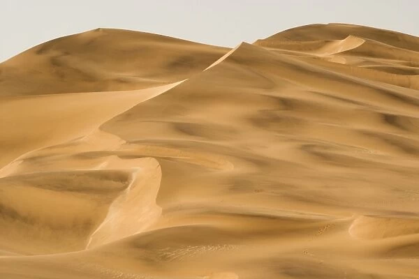 Scenic dune view - Dune Fields - Namib Desert - Namibia - Africa