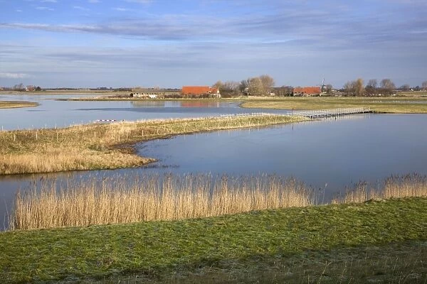 Schouwen-Duiveland Nature Reserve - Netherlands