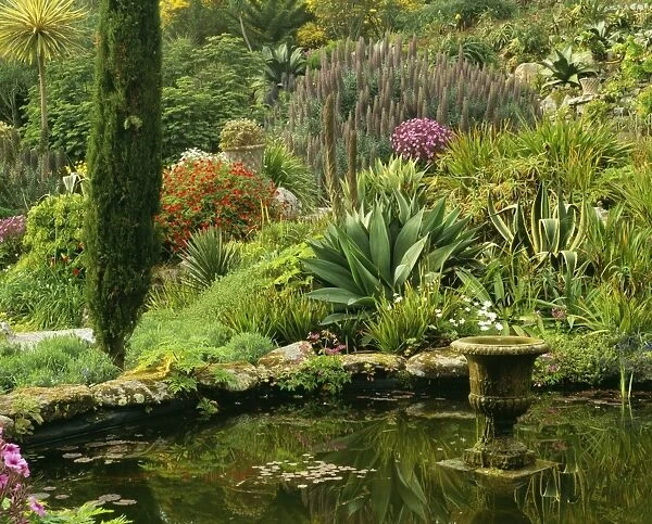 Scilly Isles - Pool & Garden. Many plants not grown in UK, but flourishing in micro-climate of Scilly Isles. Abbey Gardens Tresco