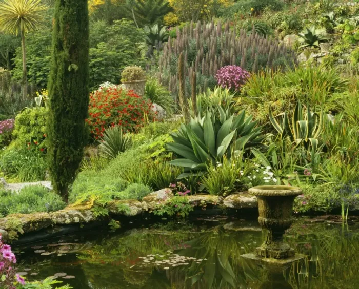 Framed Print : Scilly Isles - Pool & Garden. Many plants not grown in UK, but flourishing in micro-climate of Scilly Isles. Abbey Gardens Tresco Framed Print : Scilly Isles - Pool & Garden. Many plants not grown in UK, but flourishing in micro-climate of Scilly Isles. Abbey Gardens Tresco