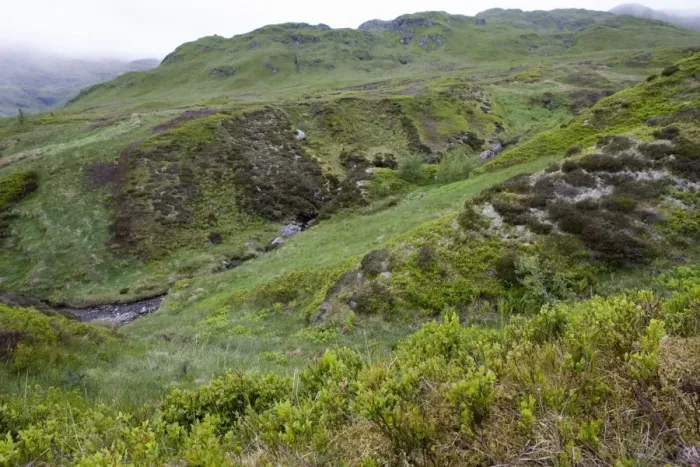 Framed Print : Scotland - Ben Lawers Nature Reserve, showing rich flora within enclosure and heavily grazed areas outside Framed Print : Scotland - Ben Lawers Nature Reserve, showing rich flora within enclosure and heavily grazed areas outside