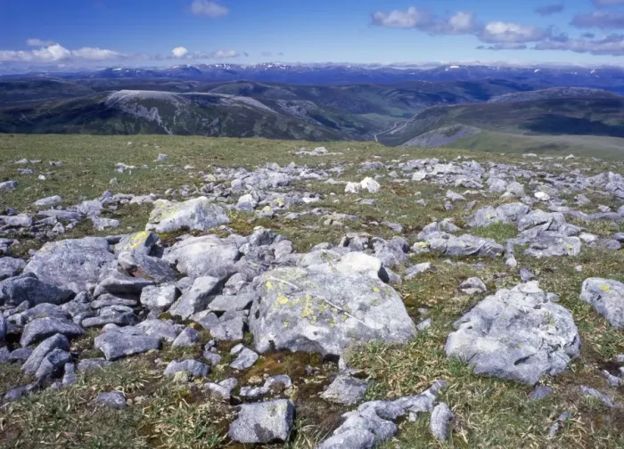Framed Print : Scotland - high altitude Lichen covered stone fields. summit of Glas Maol, Caenlochan, Cairngorm