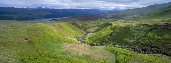 Scotland - highlands, extensive covering of heathland with Bilberry (Vaccinium myrtillus), Cowberry (Vaccinium vitis-idaea) & bright green growth. Argyllshire, Scotland