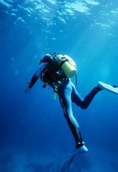 Scuba Diver - with shark POD (emits shark repellent
