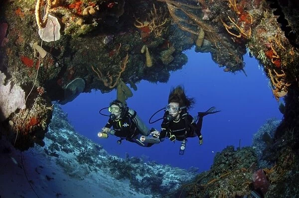 Scuba diving along the Coral reef - Island of COZUMEL
