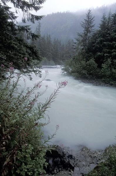 31240. SE-1044. Power Creek during Summer Storm - Cordova - Alaska, USA. Suzi Eszterhas.