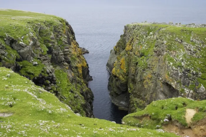 Framed Print : Sea Cliffs Noss Nature Reserve, Shetland, UK LA003136 Framed Print : Sea Cliffs Noss Nature Reserve, Shetland, UK LA003136