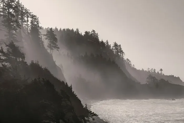 Framed Print : Sea mist rises along Indian Beach at Ecola State Park in Cannon Beach, Oregon, USA Date: 22-10-2021 Framed Print : Sea mist rises along Indian Beach at Ecola State Park in Cannon Beach, Oregon, USA Date: 22-10-2021