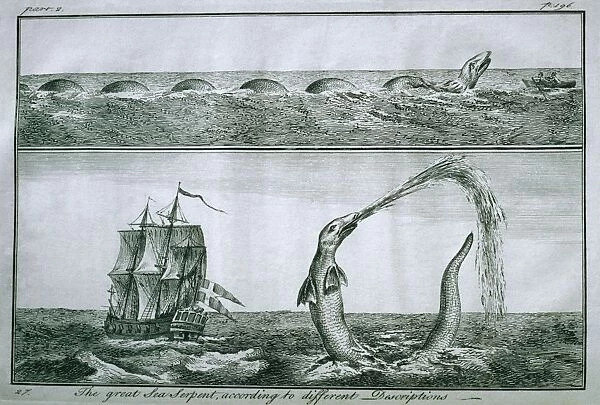 Sea Monster - print from Pontoppidan 1755