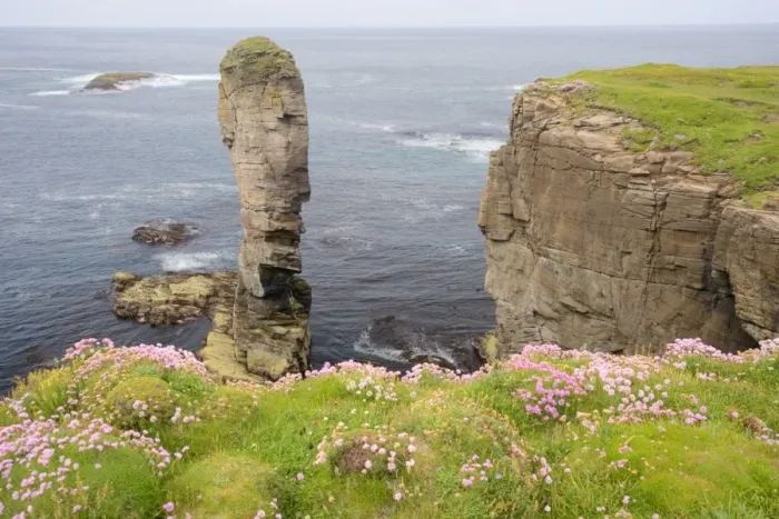 Framed Print : Sea stack Yesnaby Castle and cliffs - Orkney Mainland LA005111